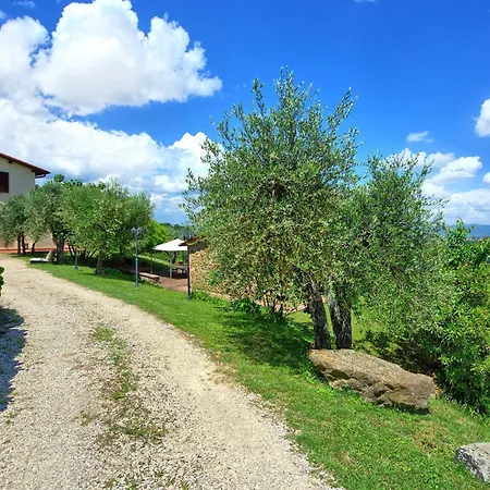 Villa Ulivi By Posarellivillas